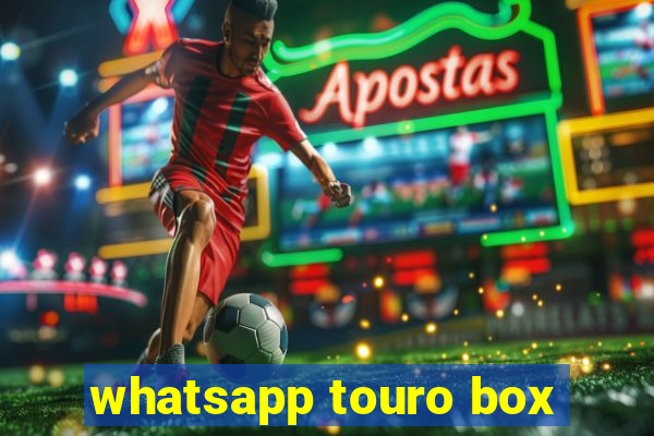 whatsapp touro box